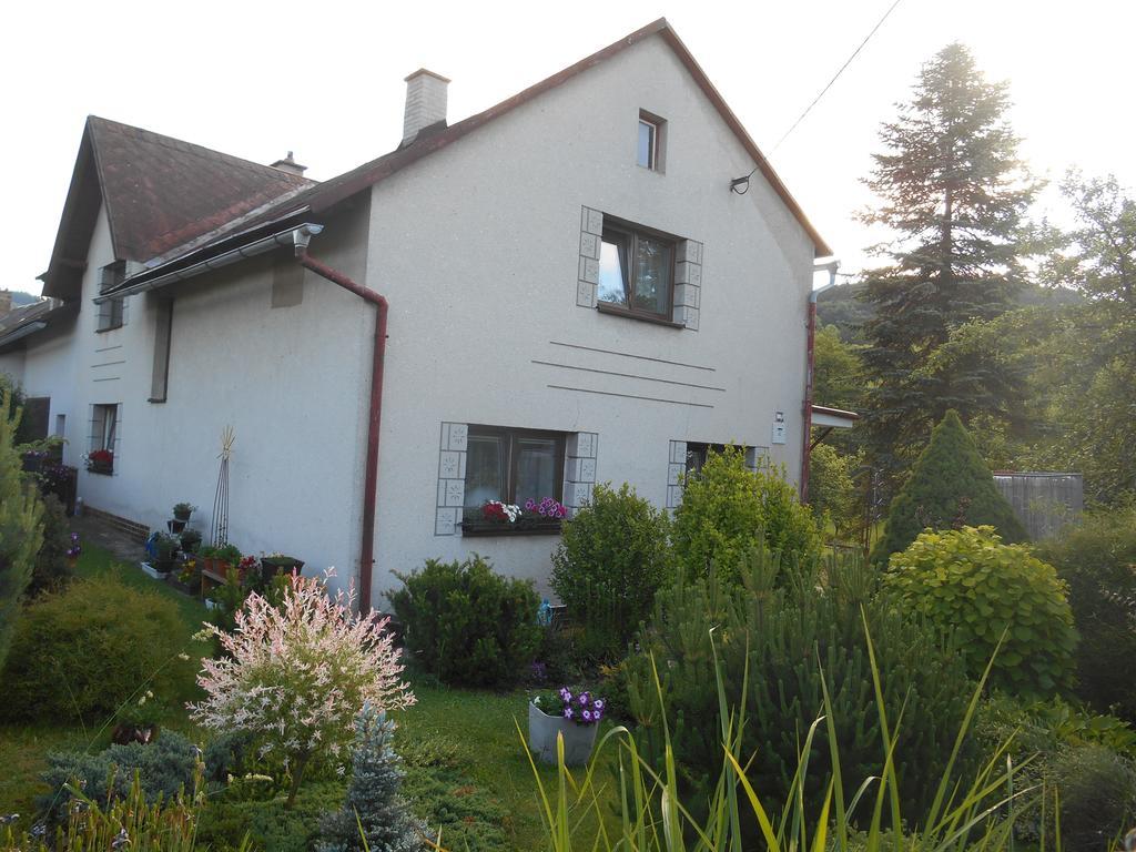 Ubytovani U Babicky Velké Losiny Exterior foto